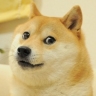 GoodBoy_TV